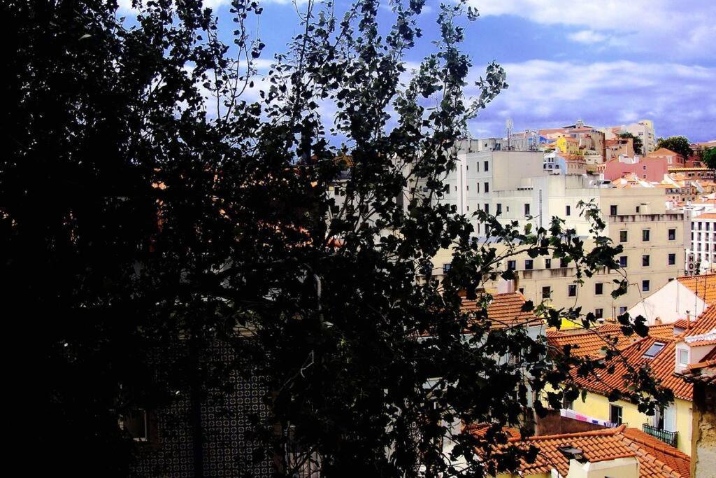 Lejlighed Casa Dos Trigueiros I Lisboa